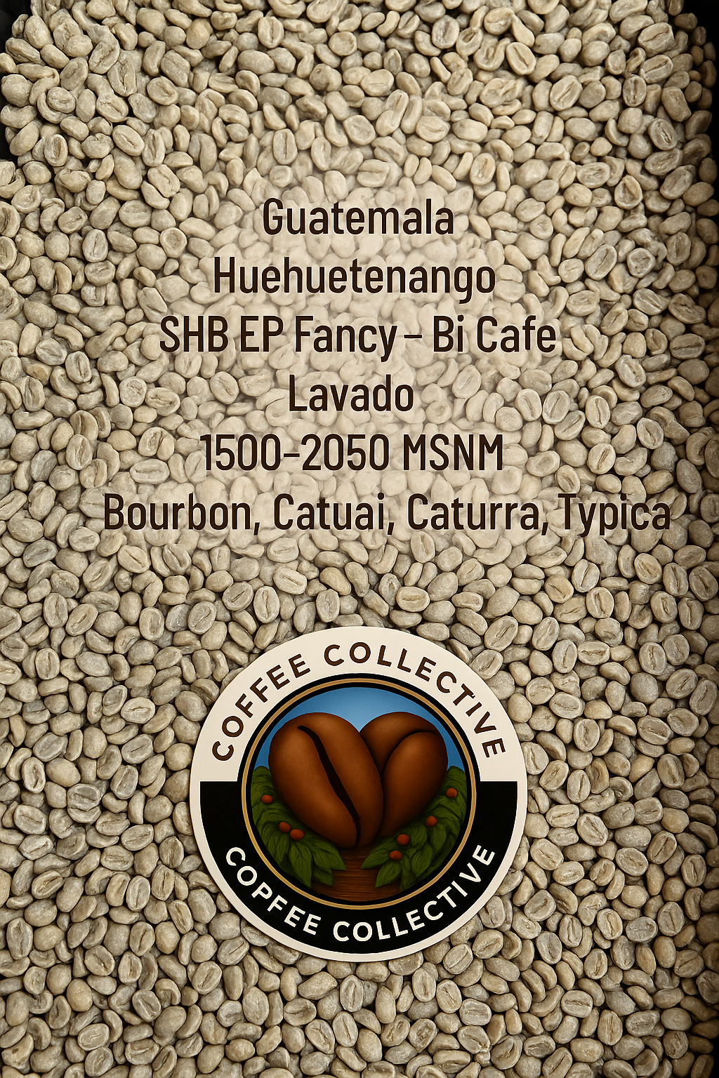 Guatemala SHB EP Fancy