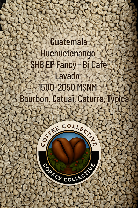 Guatemala SHB EP Fancy